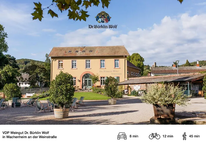 Privates Ferienhaus Mit Pool & Whirlpool Zentral In Bad Duerkheim