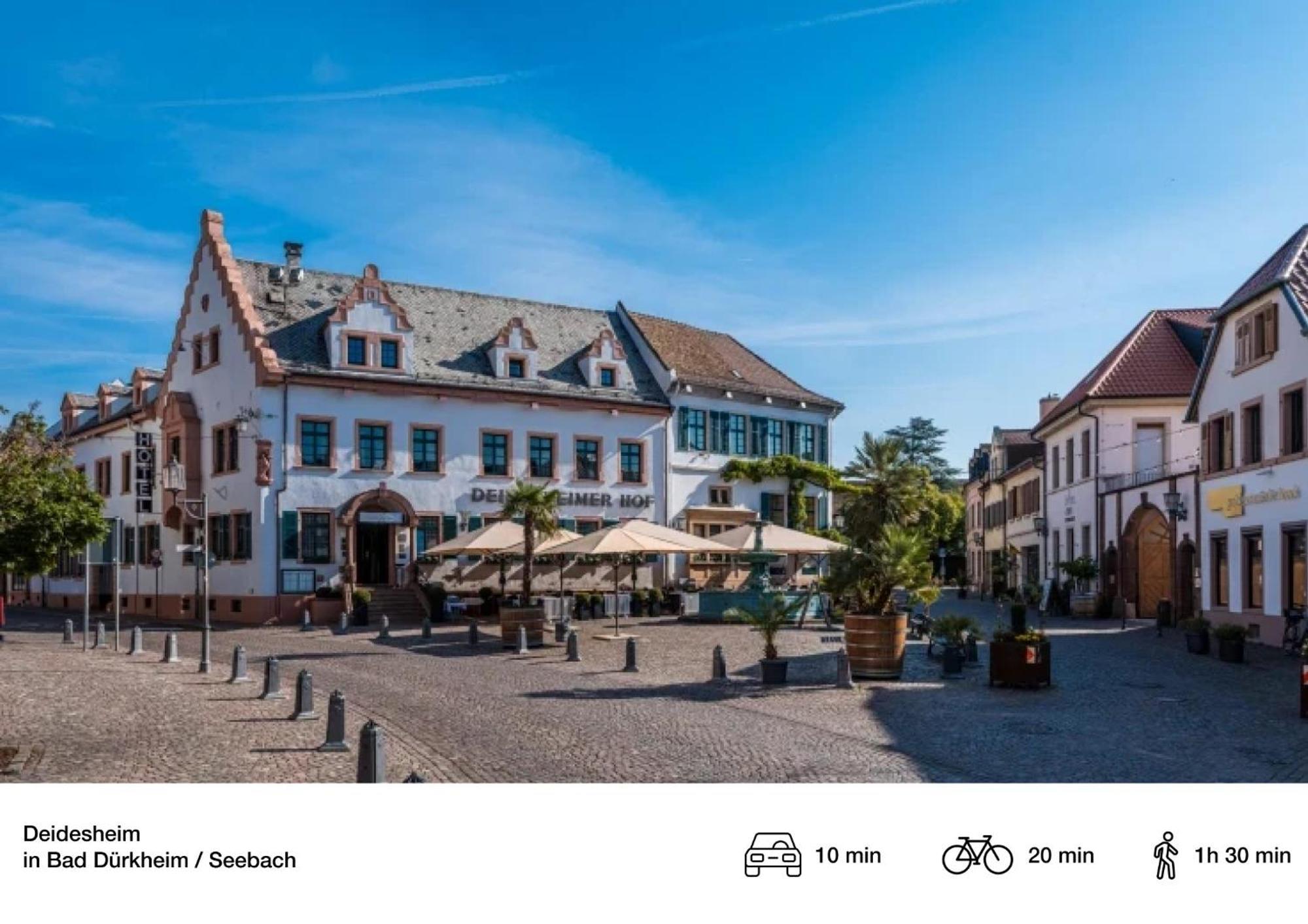 Ferienhaus Privates Mit Pool & Whirlpool Zentral In Bad Dürkheim