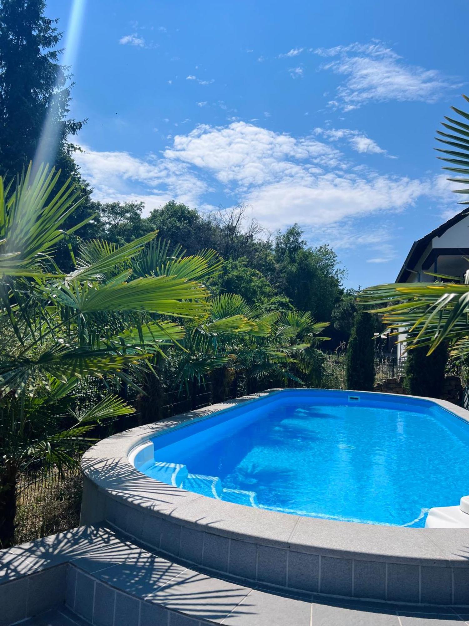 Ferienhaus Privates Mit Pool & Whirlpool Zentral In Bad Dürkheim